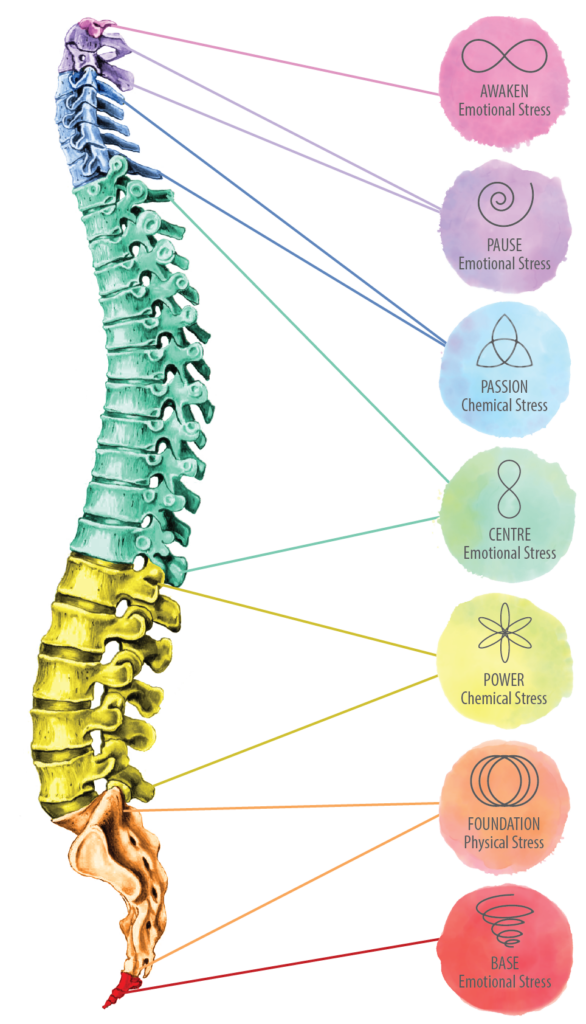 Spinal Flow Technique