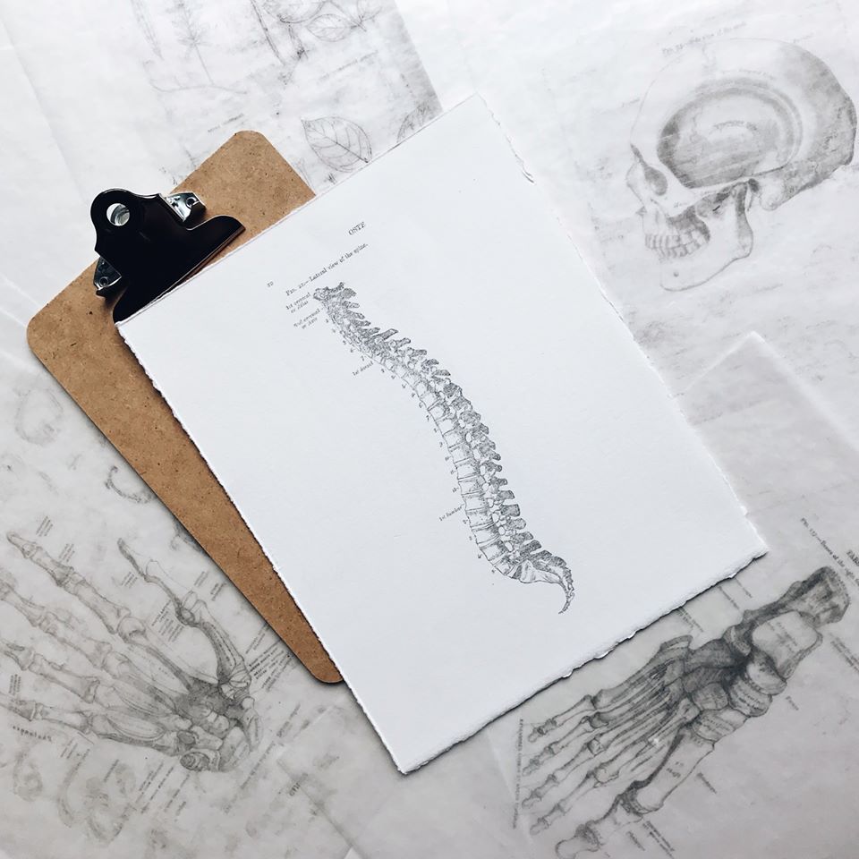 Spinal Assessment